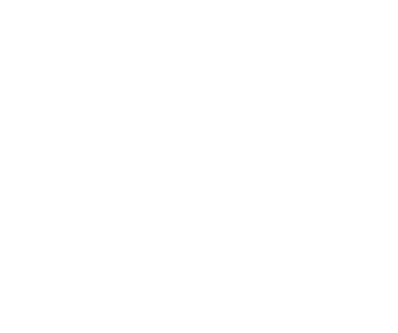 THE-SAFETY-ANYWHERE-white